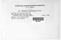 Image Associated With the Occurence